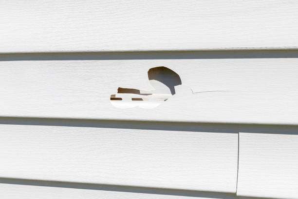 Siding Removal and Disposal in Oneida, TN