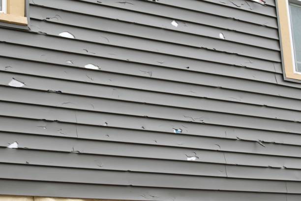 Best Storm Damage Siding Repair  in Oneida, TN