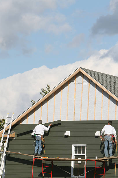 Best Custom Trim and Detailing for Siding  in Oneida, TN